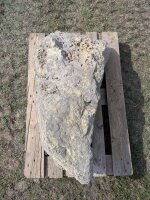Muschelkalk Felsen #73