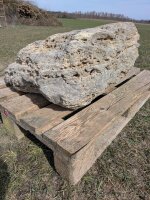 Muschelkalk Felsen #73