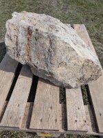 Muschelkalk Felsen #74
