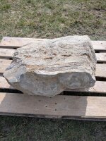 Muschelkalk Felsen #74