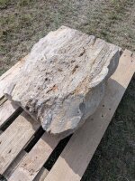 Muschelkalk Felsen #74