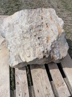 Muschelkalk Felsen #74