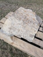 Muschelkalk Felsen #74