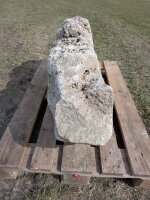 Muschelkalk Felsen #76