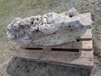 Muschelkalk Felsen #76