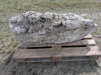 Muschelkalk Felsen #76