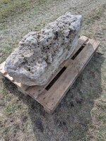 Muschelkalk Felsen #76