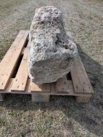 Muschelkalk Felsen #76