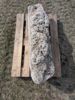 Muschelkalk Felsen #76