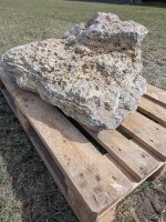 Muschelkalk Felsen #77
