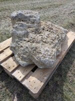 Muschelkalk Felsen #77