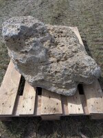 Muschelkalk Felsen #77