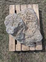 Muschelkalk Felsen #77