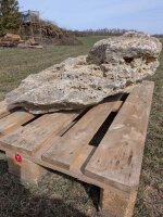 Muschelkalk Felsen #77