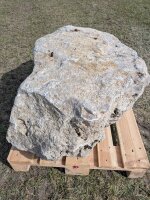 Muschelkalk Felsen #78