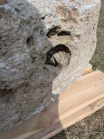Muschelkalk Felsen #78