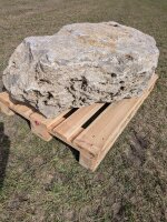 Muschelkalk Felsen #78