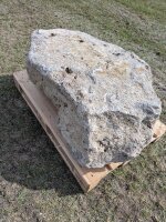 Muschelkalk Felsen #78
