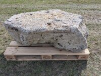 Muschelkalk Felsen #78