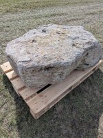 Muschelkalk Felsen #78