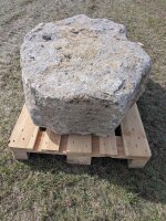 Muschelkalk Felsen #78