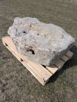 Muschelkalk Felsen #78