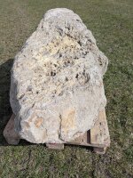 Muschelkalk Felsen #59