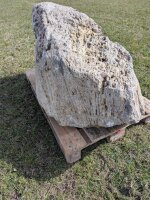 Muschelkalk Felsen #59