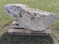 Muschelkalk Felsen #59