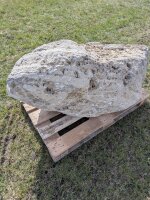 Muschelkalk Felsen #59