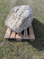 Muschelkalk Felsen #59