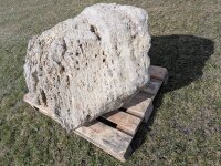 Muschelkalk Felsen #59
