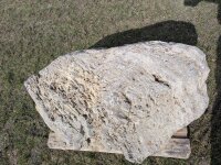 Muschelkalk Felsen #59