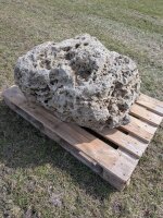 Muschelkalk Felsen #60