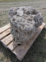 Muschelkalk Felsen #60