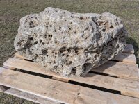 Muschelkalk Felsen #60