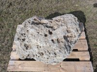 Muschelkalk Felsen #60