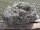 Muschelkalk Felsen #60