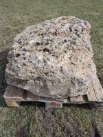 Muschelkalk Felsen #71