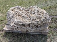 Muschelkalk Felsen #71