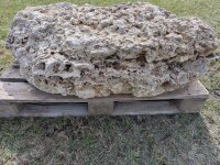Muschelkalk Felsen #71