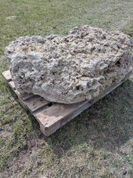 Muschelkalk Felsen #71