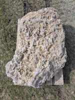 Muschelkalk Felsen #71