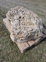 Muschelkalk Felsen #71