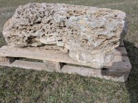 Muschelkalk Felsen #71