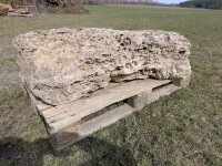 Muschelkalk Felsen #71