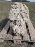 Muschelkalk Felsen #79