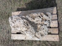 Muschelkalk Felsen #79