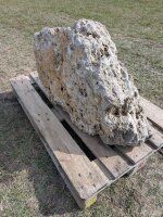 Muschelkalk Felsen #79