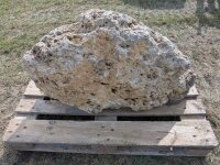 Muschelkalk Felsen #79